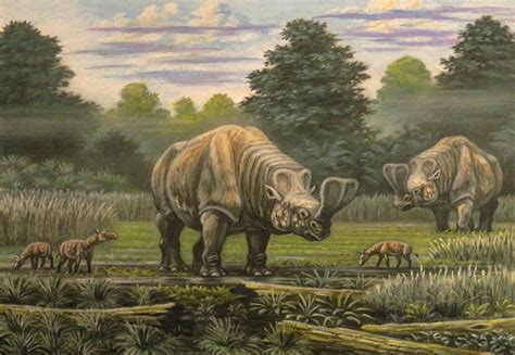 Cenozoic Mammals After Their Kinds • New Creation Blog