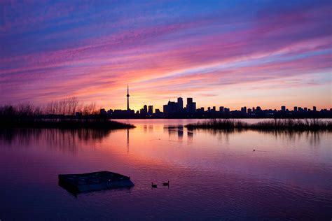 50 things to do this summer in Toronto