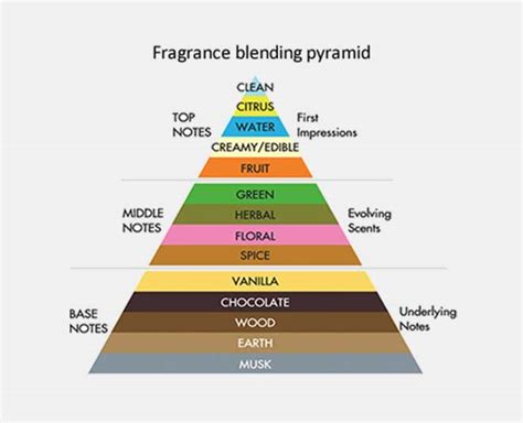 Different Types Of Fragrance Notes And How To Carry Them | HerZindagi