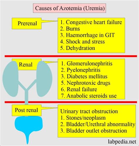 Blood Urea Nitrogen/Creatinine ratio and Interpretations