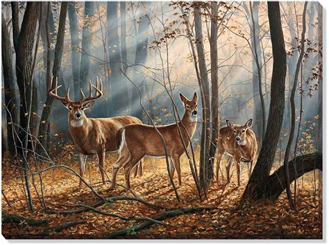 Woodland Splendor Whitetail Deer Wrapped Canvas Giclee Print Wall Art ...