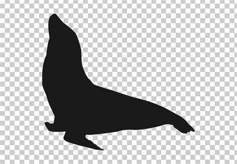 California Sea Lion Silhouette PNG, Clipart, Animal, Animals, Aquatic ...