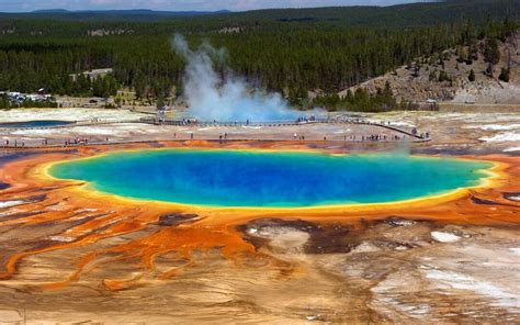 A Day in Yellowstone National Park | Yellowstone Now!