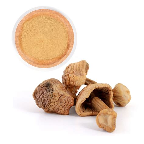 Organic Dried Agaricus Blazei Muril Extract Powder - China Agaricus ...