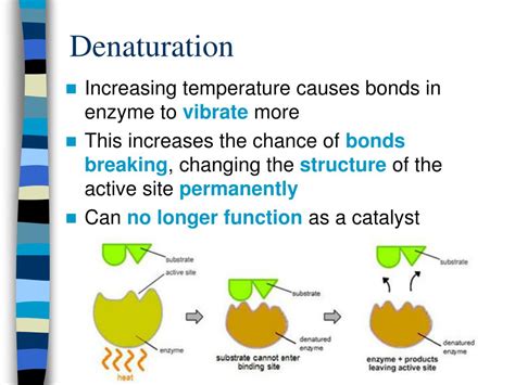 PPT - 3.6 & 7.6 Enzymes PowerPoint Presentation, free download - ID:1482992