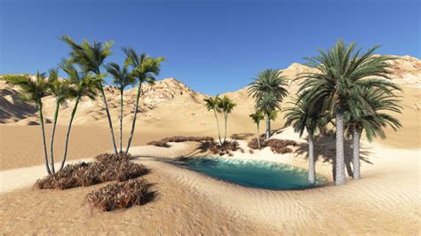 Desert Oasis Wallpapers - Wallpaper Cave