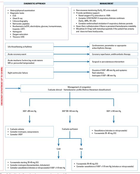 Figure 1 from Diagnosis and management of acute heart failure ...