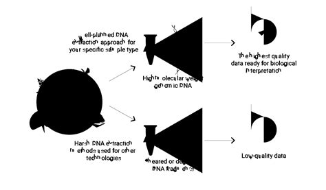 Sequencing 101: DNA extraction — tips, kits, and protocols - PacBio