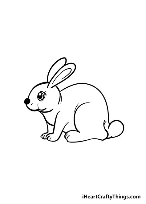 Rabbit Drawing - How To Draw A Rabbit Step By Step