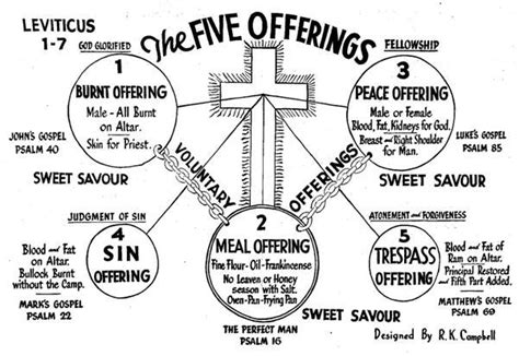 The Five Offerings Of Leviticus 1-7 - Chart And Brief Outline ...