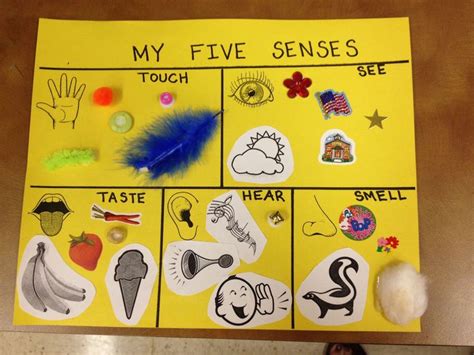 Senses Craft Pinterest Five Crafts preschool senses activities five ...