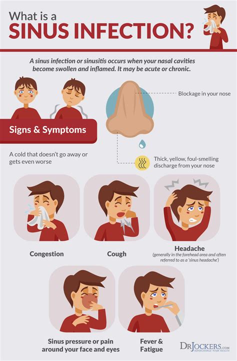 What Is The Difference Between A Head Cold And A Sinus Infection ...