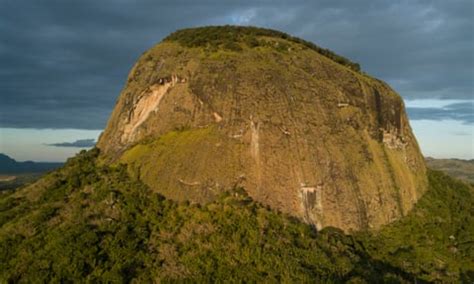 Mozambique: the secret rainforest at the heart of an African volcano ...