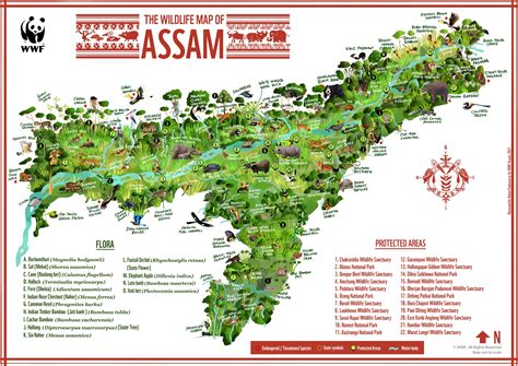 Green Humour: Biodiversity Map of Assam