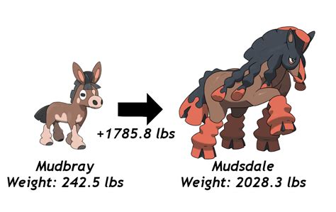 Evolution - The Physics Of pokemon