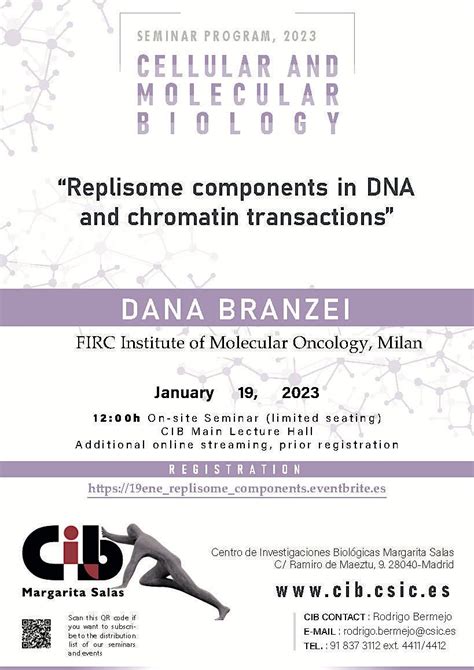 Replisome components in DNA and chromatin transactions, Centro de ...