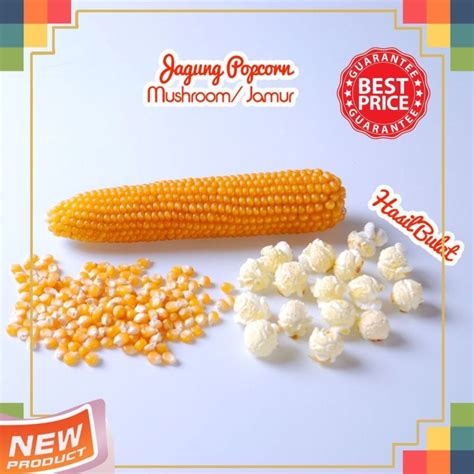 Jagung Popcorn 1Kg Biji Popcorn Kiloan MENTAH Popcorn 500 gram | Lazada ...