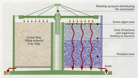 Trickling Filter | Green design, Wastewater, Green algae