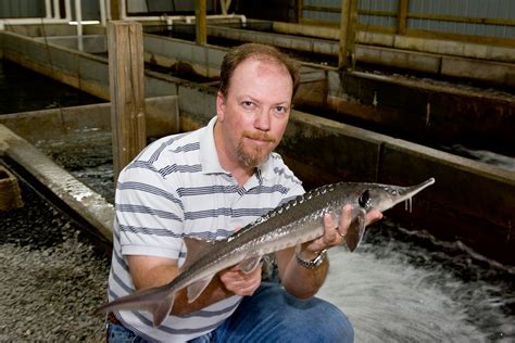 Professor pioneers new caviar farming method - UGA Today