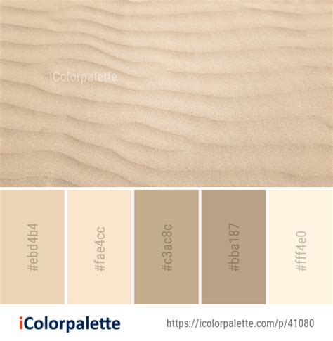 what color is sand beige - Kaila Steiner