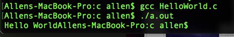 C output on terminal doesn't have it's own line - Stack Overflow