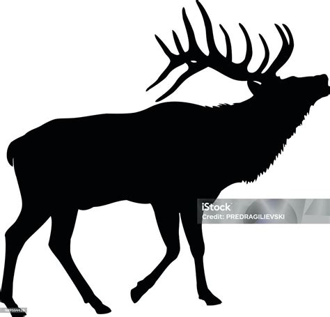 Elk Deer Silhouette Stock Illustration - Download Image Now - Elk, In ...