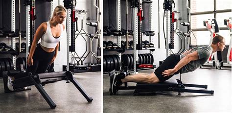 Strength from Every Angle: Nordic Curl and Back Extension Machine ...