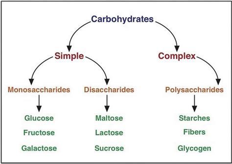 Classification of Carbohydrates with Types, Formula and Structure