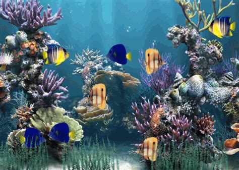 Animated Aquarium Wallpaper For Windows 7 Free