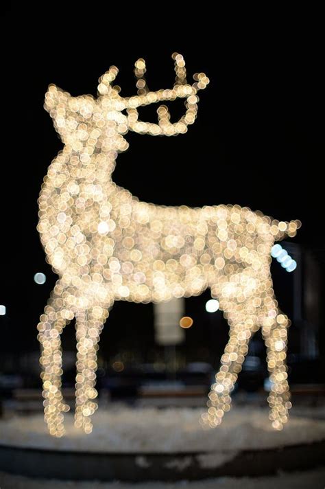 Reindeer Christmas lights stock image. Image of decorative - 35856459