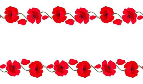 Poppy Border Stock Photos, Pictures & Royalty-Free Images - iStock