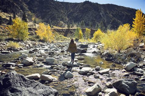 Sonora Pass Fall Colors & Top Spots (High Sierra) — Flying Dawn Marie ...