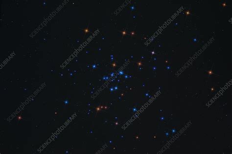 Messier 34, Open Cluster - Stock Image - C033/5004 - Science Photo Library