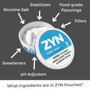 What is ZYN? The Ultimate Guide to ZYN - Northerner US