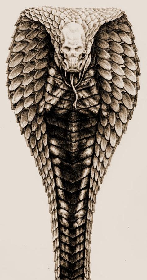 18 Best King cobra tattoo ideas | cobra tattoo, king cobra tattoo ...