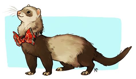 the ferret is wearing a bow tie and standing on its hind legs in front ...