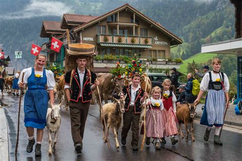 Alpine Festival – Désalpe: Where To See The Swiss Cow Parades - The ...