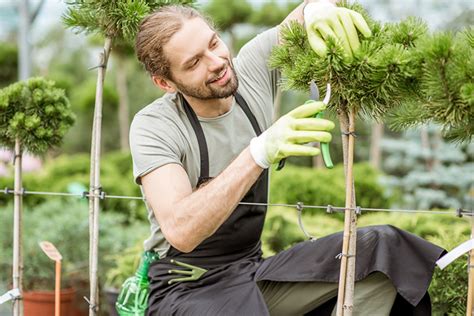 The Best Secateurs for Pruning Your Garden - Our 2022 Guide