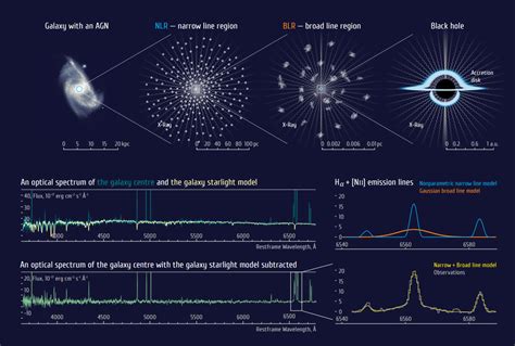 Astronomers Discover Intermediate Mass Black Holes in Galactic Nuclei