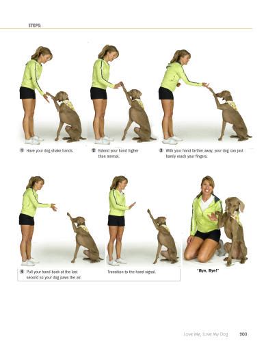 101 Dog Training Tricks Book Review