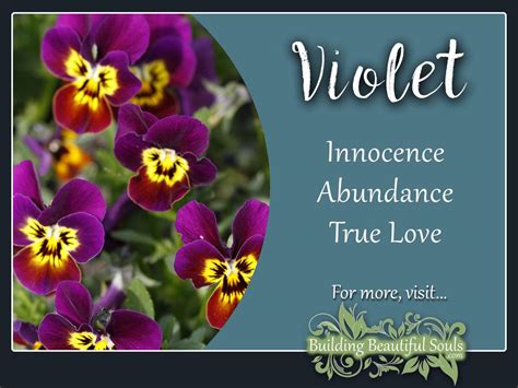 Violet Meaning & Symbolism | Flower Meanings& Symbolism