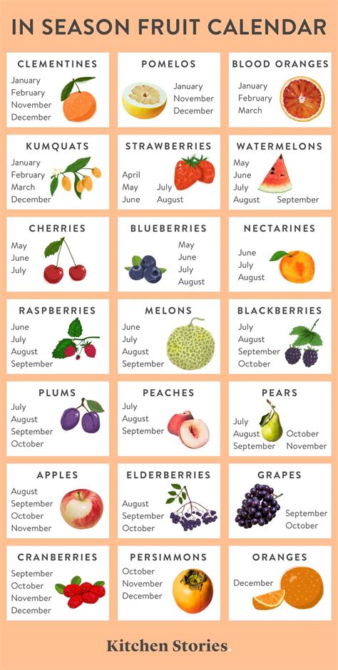 What Fruits and Vegetables are in Season? A Yearly Guide to Produce