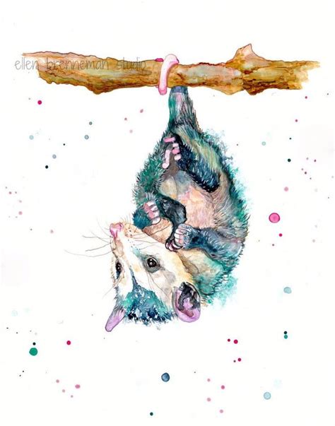 Possum Watercolor Print Opossum Nursery Decor Baby Possum - Etsy ...