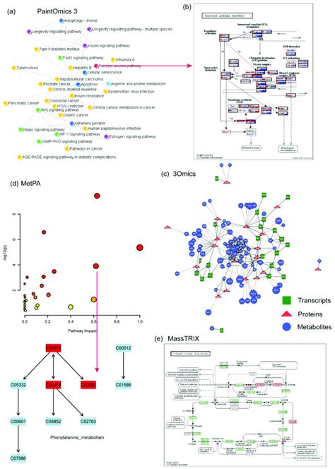 Example of other available metabolomics data analysis tools. (a ...