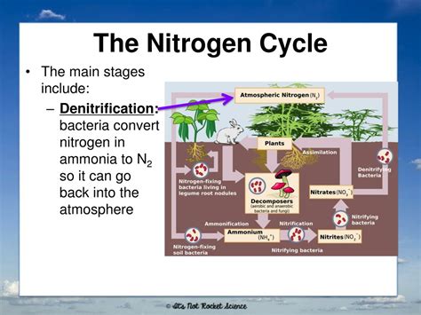 PPT - Geochemical Cycles PowerPoint Presentation, free download - ID:899476