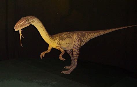 Coelophysis Facts, Habitat, Diet, Fossils, Pictures