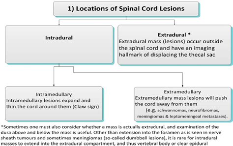 Differentiating Intramedullary Spinal Cord Lesions | Semantic Scholar