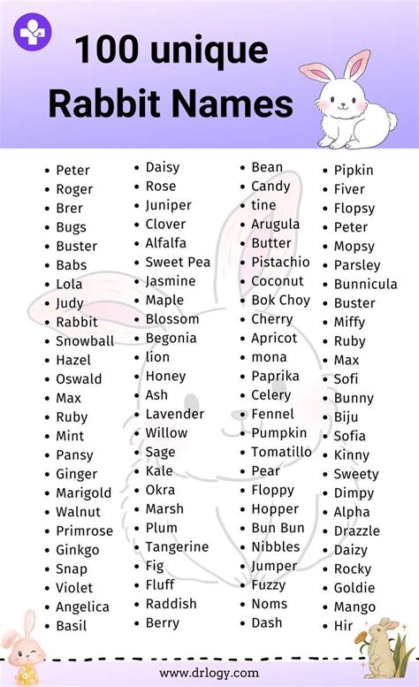 100 Unique Rabbit Names With Meaning | Rabbit names, Names, Bunny names