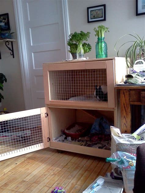 Build an Indoor Rabbit Cage | Indoor rabbit, Indoor rabbit cage, Rabbit ...