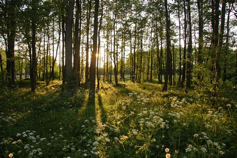 the fine parks of Latvia | Nature adventure, Breathtaking places ...